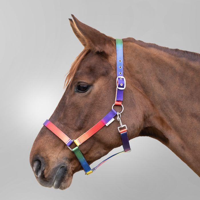 STAR Rainbow Halter #colour_neon-multicolour