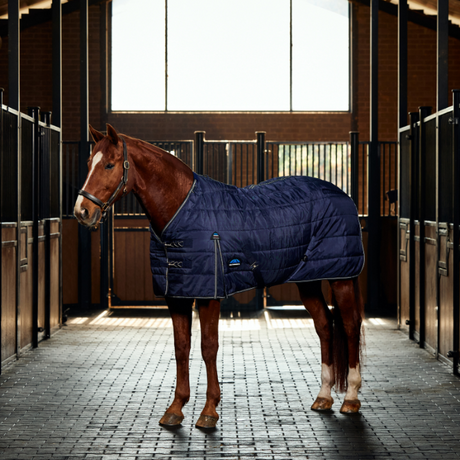 Weatherbeeta Comfitec PP Channel Quilt 220G Detach-A-Neck Stable Rug #colour_navy-charcoal