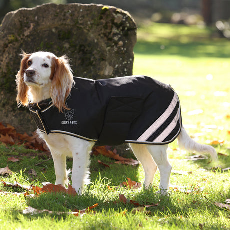 Manteau imperméable pour chien Shires Digby &amp; Fox 