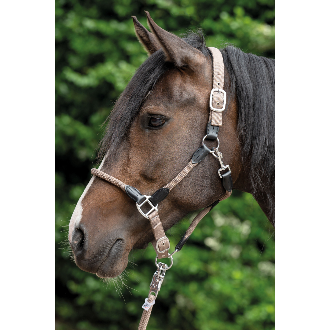 HKM Head Collar -Carlotta- #colour_taupe