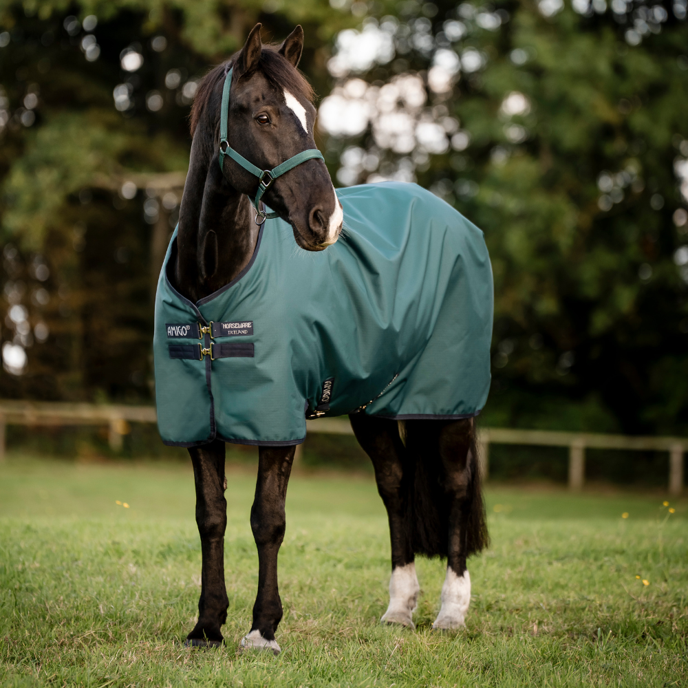 Horseware Ireland Amigo Ripstop 900D 100g Pony Turnout Rug