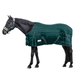 Waldhausen Economic 300g Stable Rug #colour_fir-green