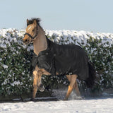 Waldhausen Scandic High Neck Light Turnout Rug #colour_black