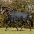 Waldhausen Arctic 100g Turnout Rug #colour_black