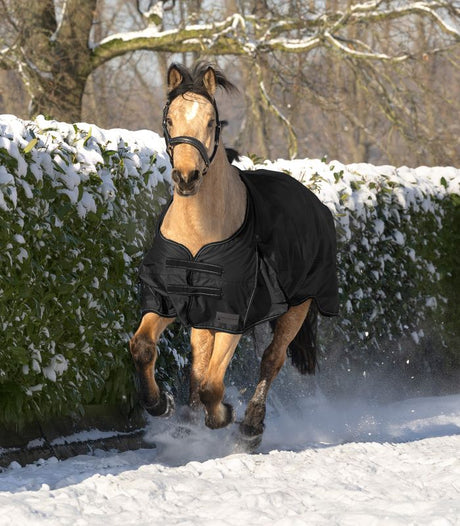 Waldhausen Arctic 100g Turnout Rug #colour_black