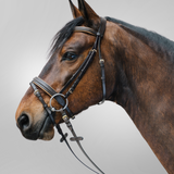 Waldhausen Star Diamond Bridle #colour_black-gold