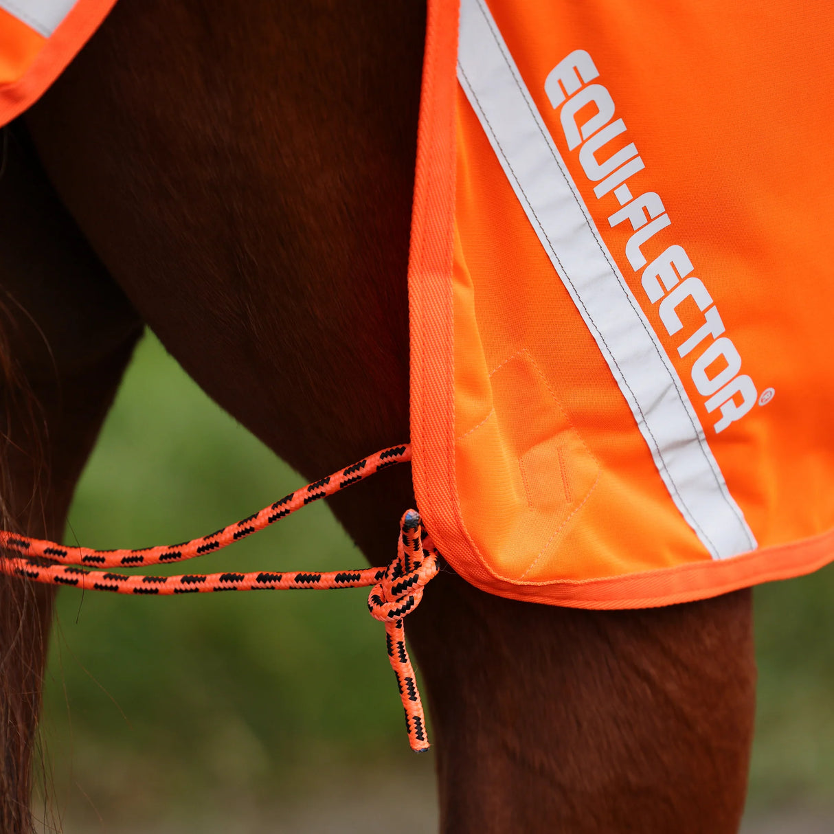 Shires EQUI-FLECTOR Mesh Exercise Sheet #colour_orange