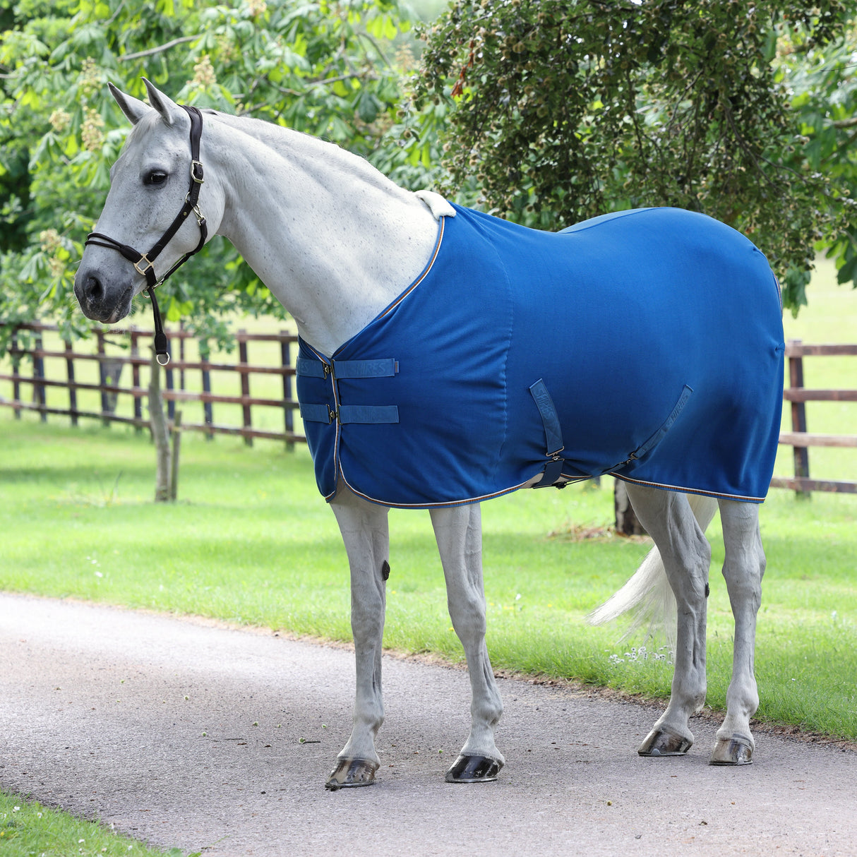 Tapis polaire Shires Tempest Original
