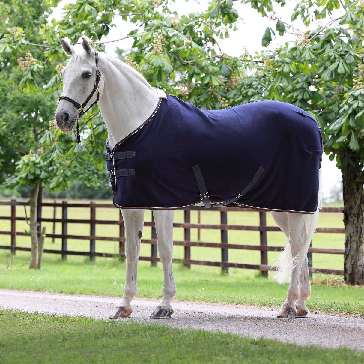 Tapis polaire Shires Tempest Original