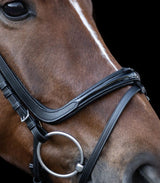 Waldhausen X-Line Bridle Freedom #colour_black