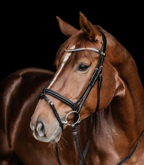 Waldhausen S-Line Harmony Snaffle Bridle #colour_black