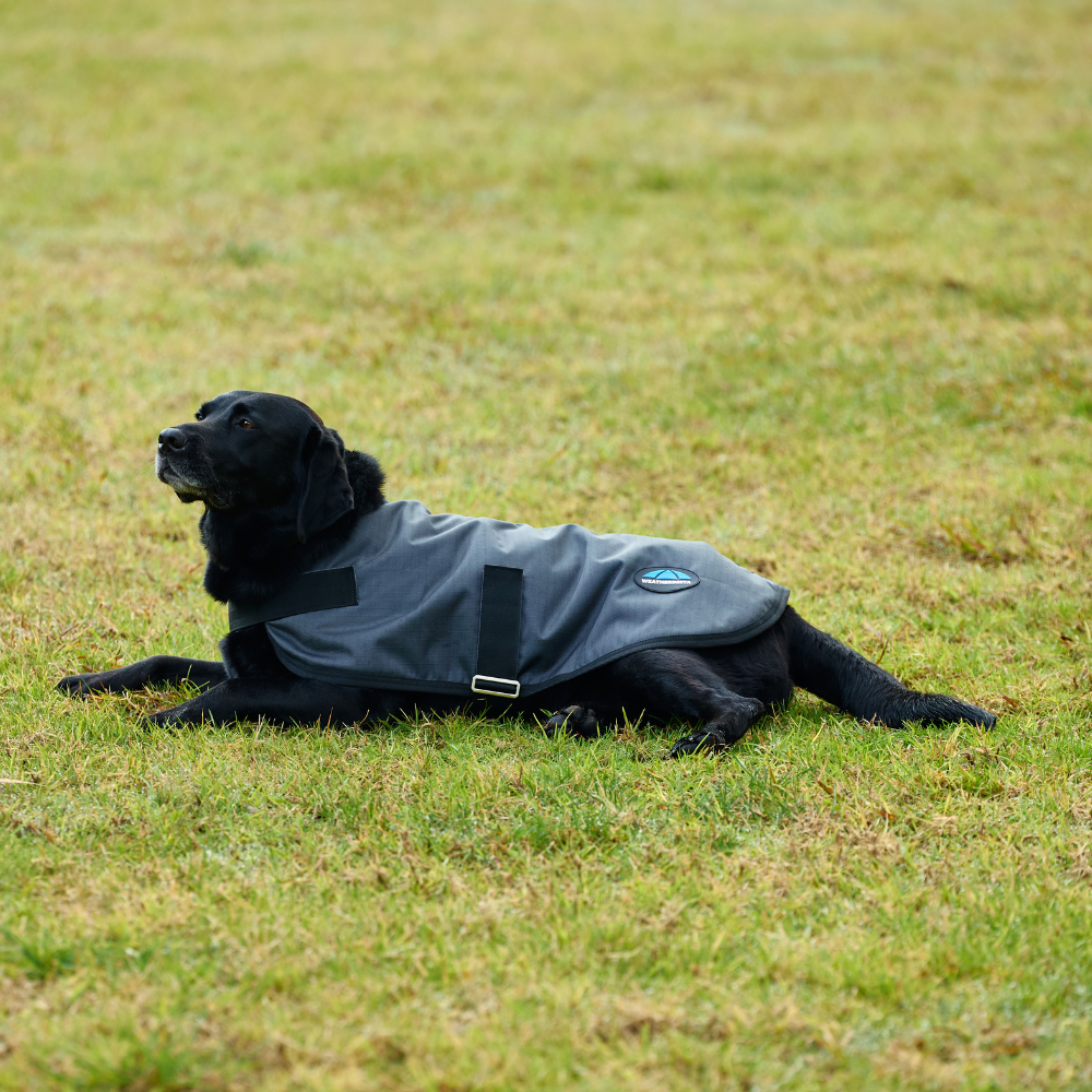 Weatherbeeta Comfitec Classic Waterproof Dog Coat #colour_grey