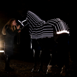 Horseware Ireland Amigo 1200D FieldSafe Reflectech Plus 250g Turnout Rug #colour_black-reflective-black