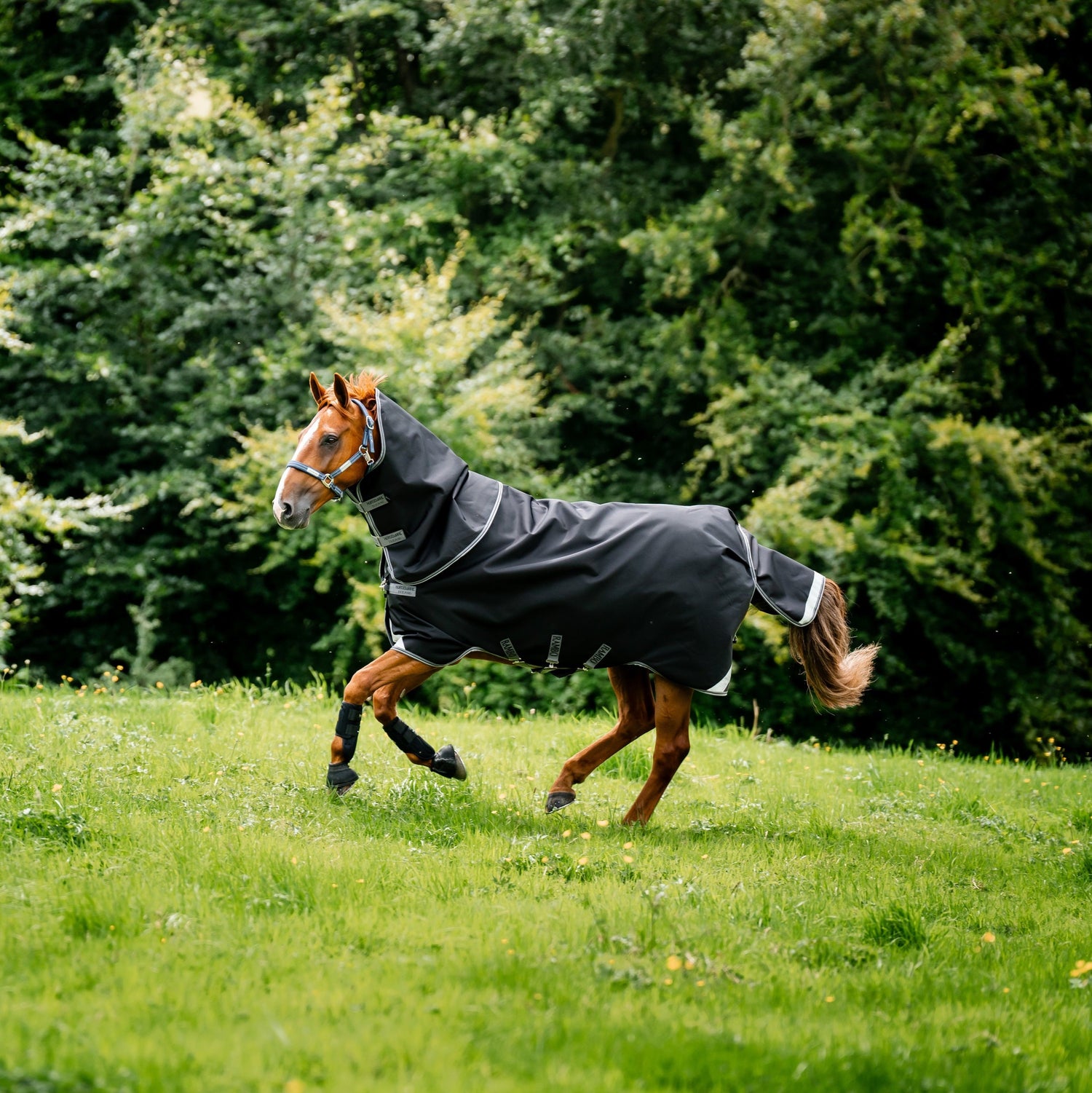 Horseware Ireland Rambo Supreme 1680D Turnout Plus 0g #colour_black-thunderstorm-grey-silver