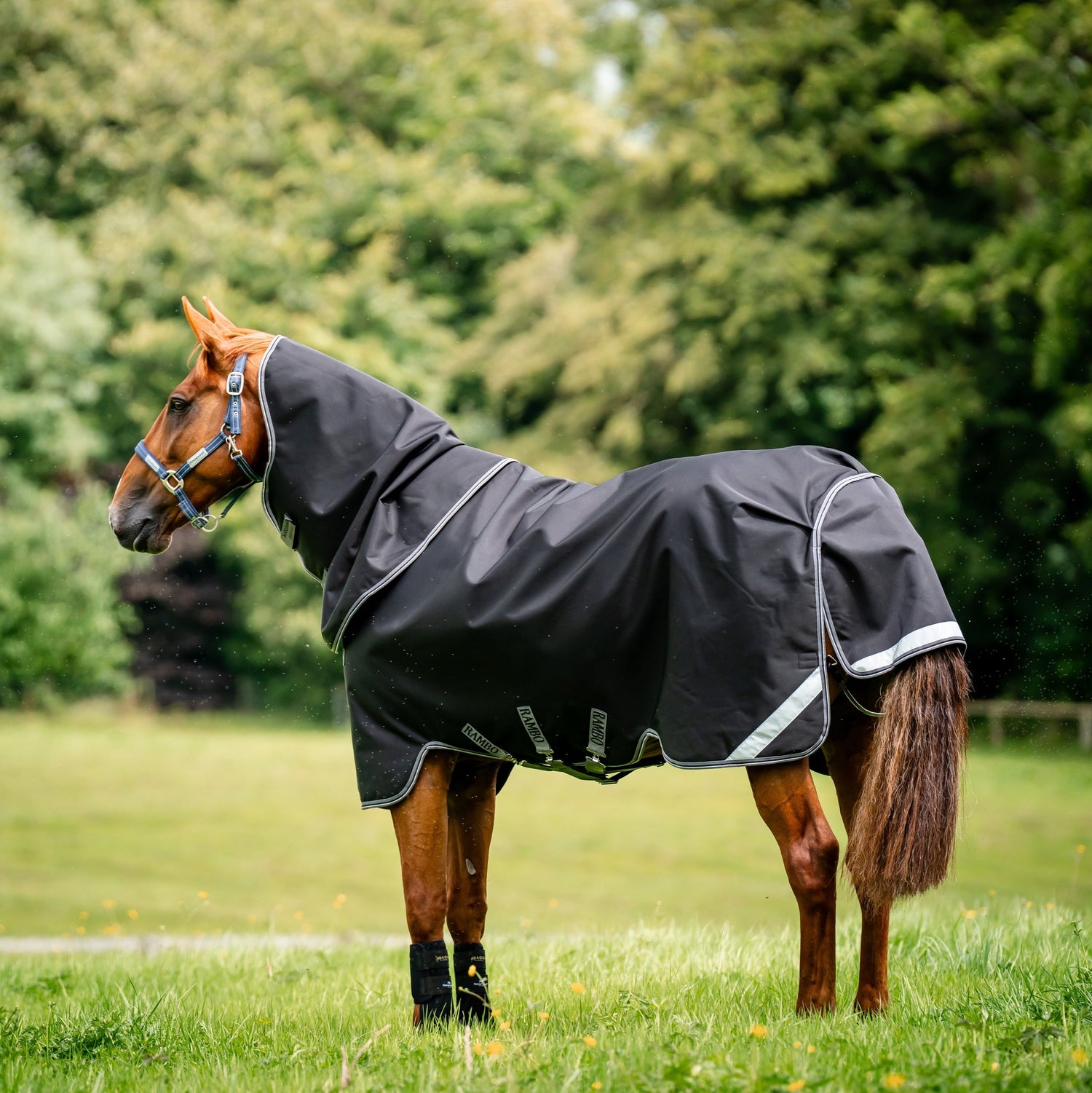 Horseware Ireland Rambo Supreme 1680D Turnout Vari-Layer 450g #colour_black-thunderstorm-grey-silver