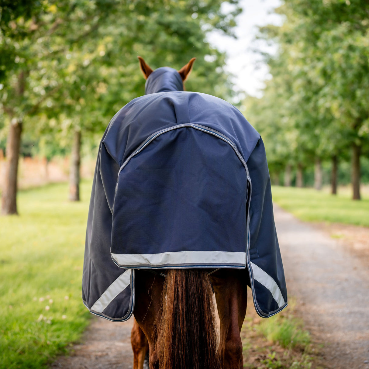 Horseware Ireland Rambo 1680D 100g Turnout Rug #colour_navy-thunderstorm-grey-silver