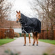 Horseware Ireland Amigo 1200D Integrated 50g Turnout Rug #colours_black-titanium-grey-silver
