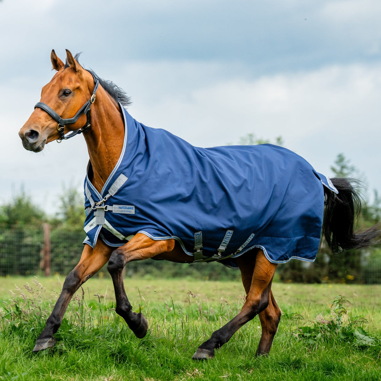 Horseware Ireland Amigo Bravo 12 Wug 400g Heavy Turnout Rug #colour_navy-titanium-grey-silver