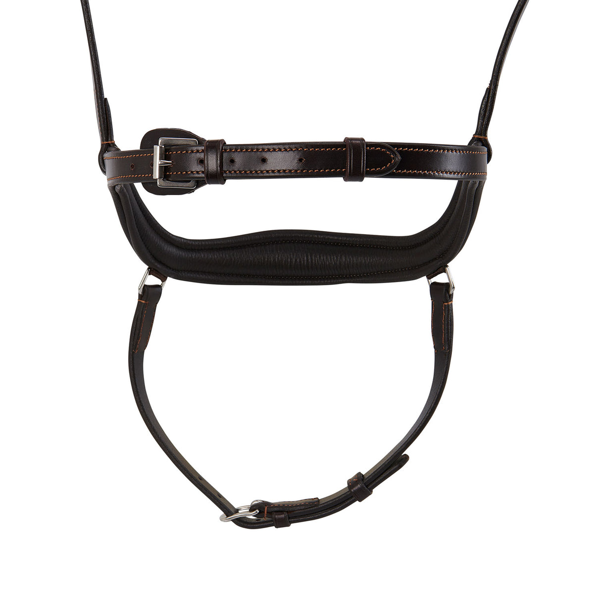Acavallo Allegoria Anatomic Bridle