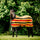 Horseware Ireland Newmarket Fleece Cooler #witney-gold