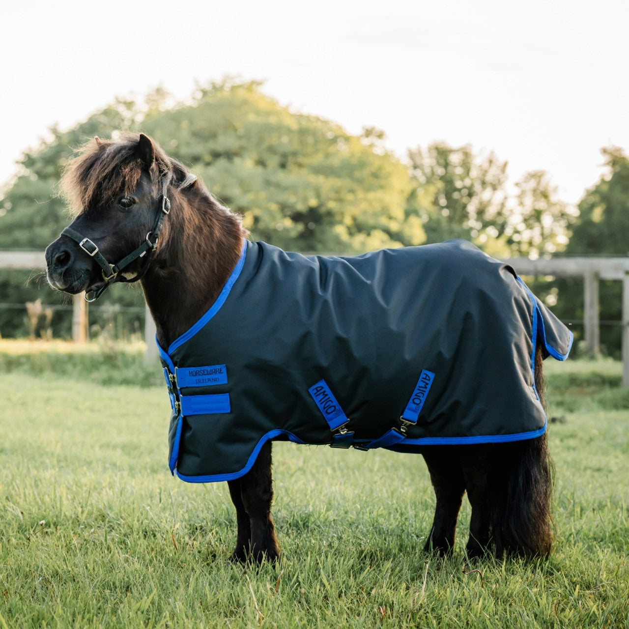 Horseware Ireland Amigo Ripstop 900D Petite 0g Turnout Rug