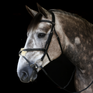 Whitaker Vienna Bridle With Reins #colour_black