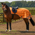 Firefoot Reflective Exercise Sheet #colour_orange