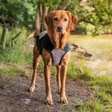 Ruff & Tumble Dog Cooling Coat