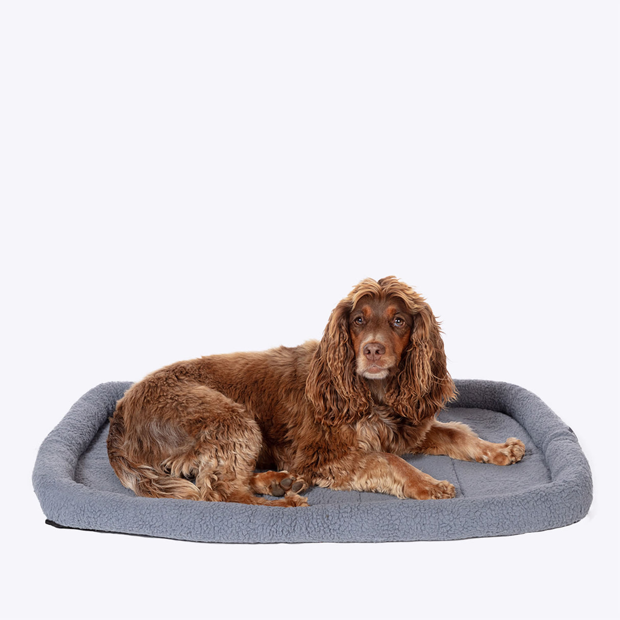 Danish Design Essentials Mattress #colour_charcoal