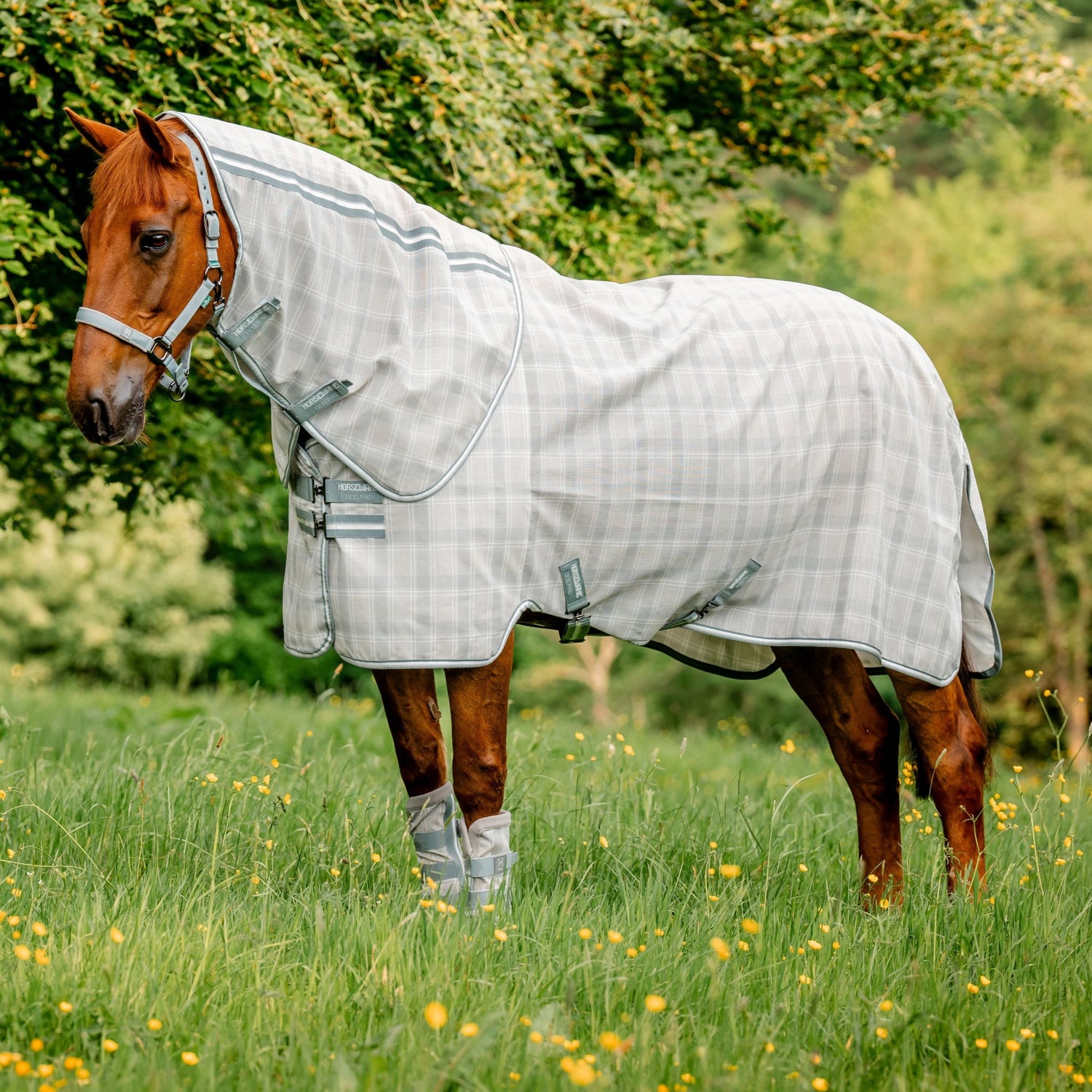 Horseware Ireland Newmarket Plus Fly Sheet #colour_witney-charcoal