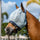 Horseware Ireland Newmarket No Ears Fly Mask #colour_witney-navy