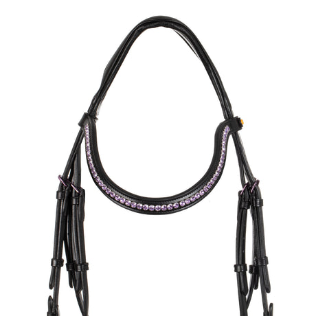 ANATOMIC LEATHER BRIDLE BLACK FITTING
