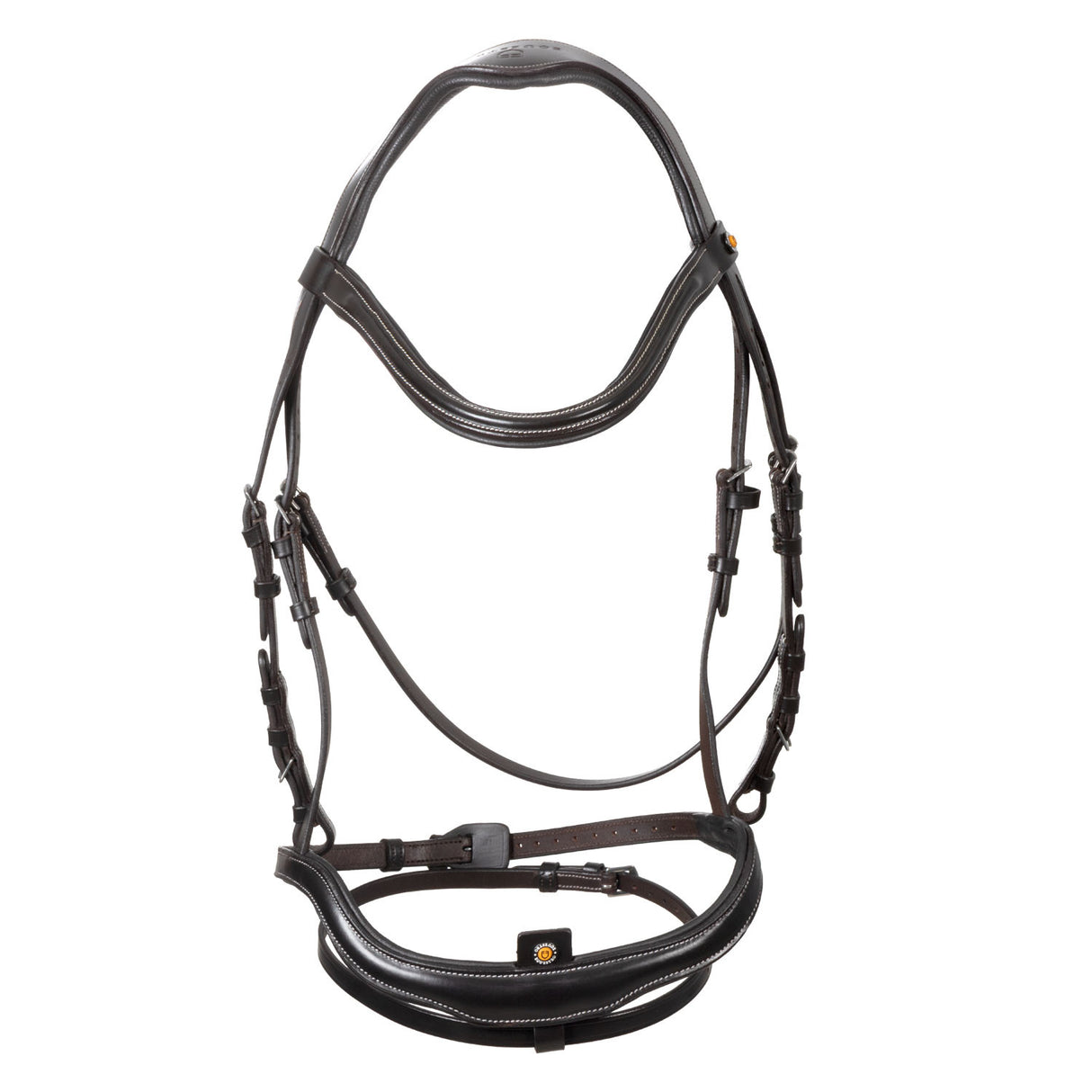 Anatomical bridle with curved noseband