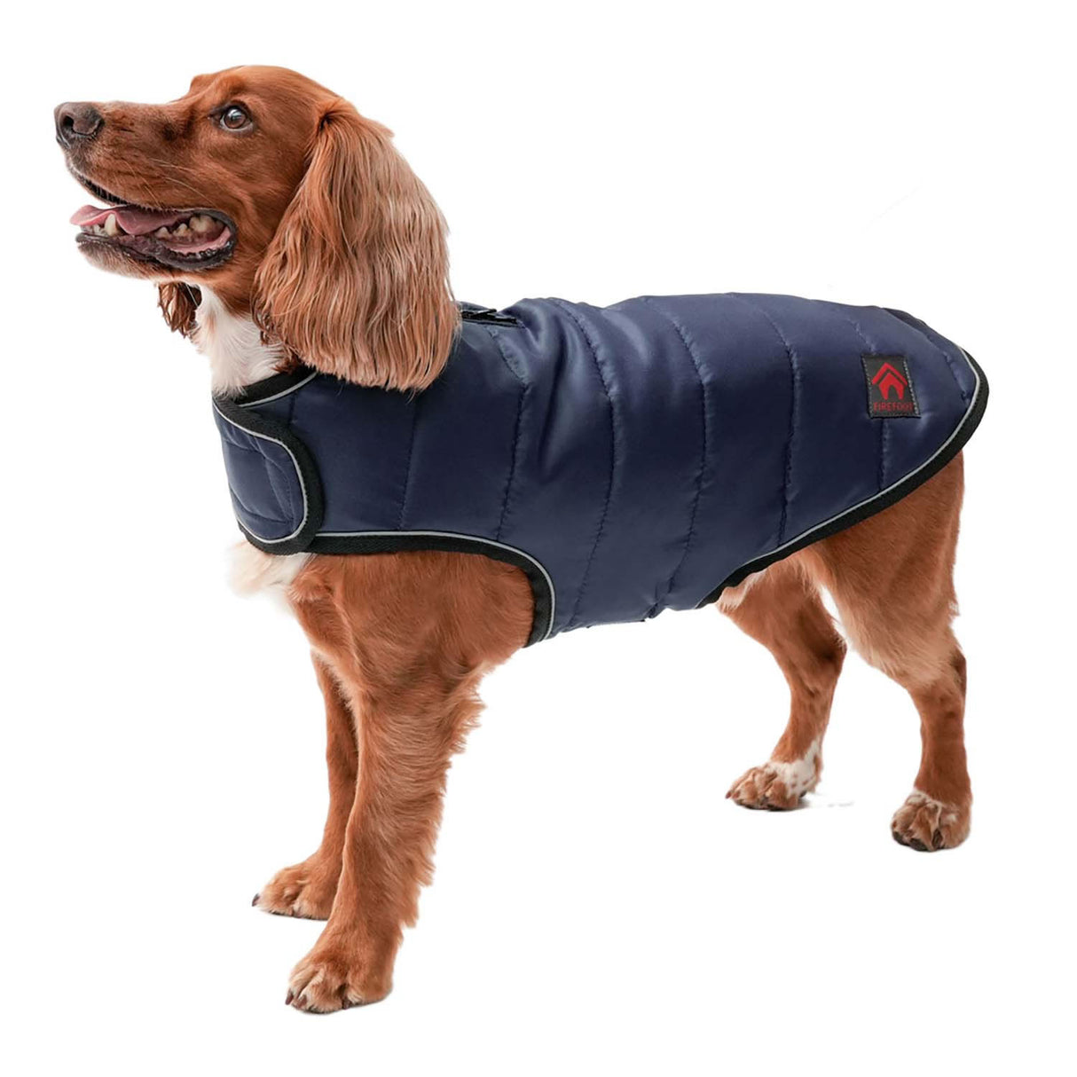 Firefoot Quilted Dog Coat #colour_navy