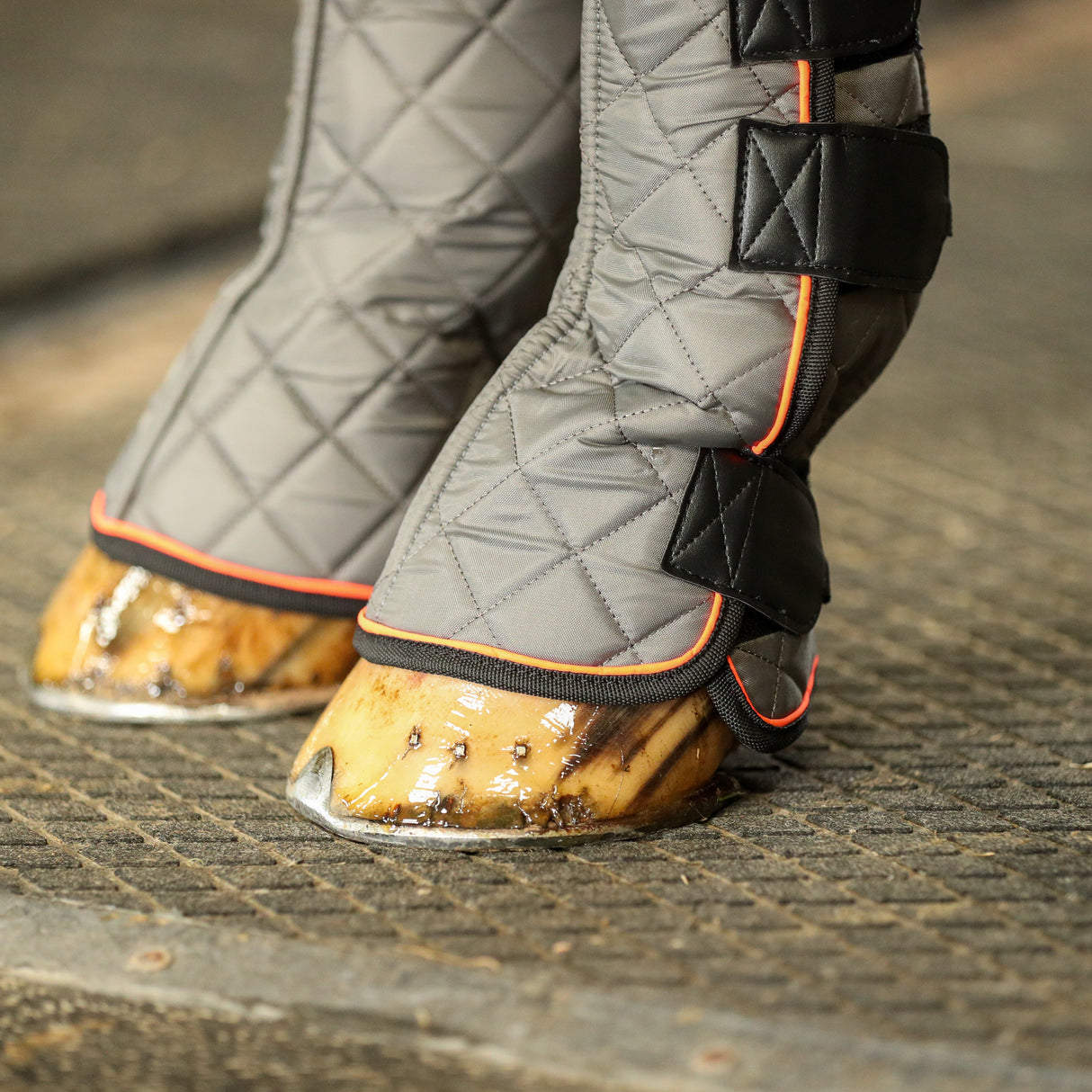 Equilibrium Fore & Knee Magnetic Chaps