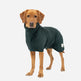 Ruff & Tumble Classic Dog Drying Coat #colour_forest