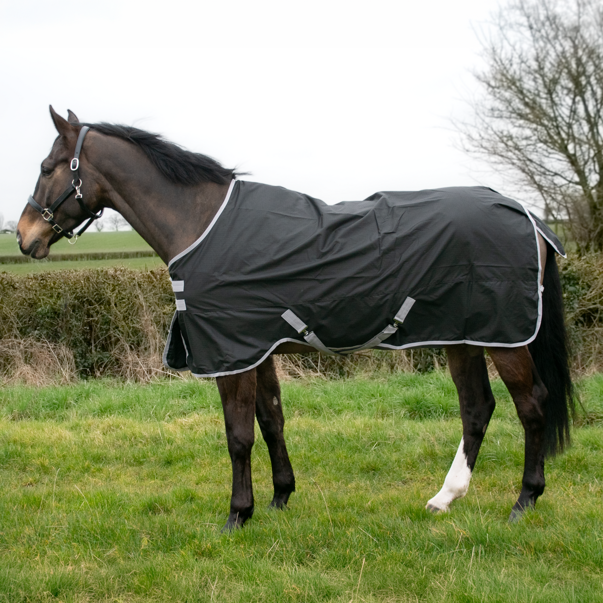 GS Equestrian 600D Waterproof Turnout Rug 0g