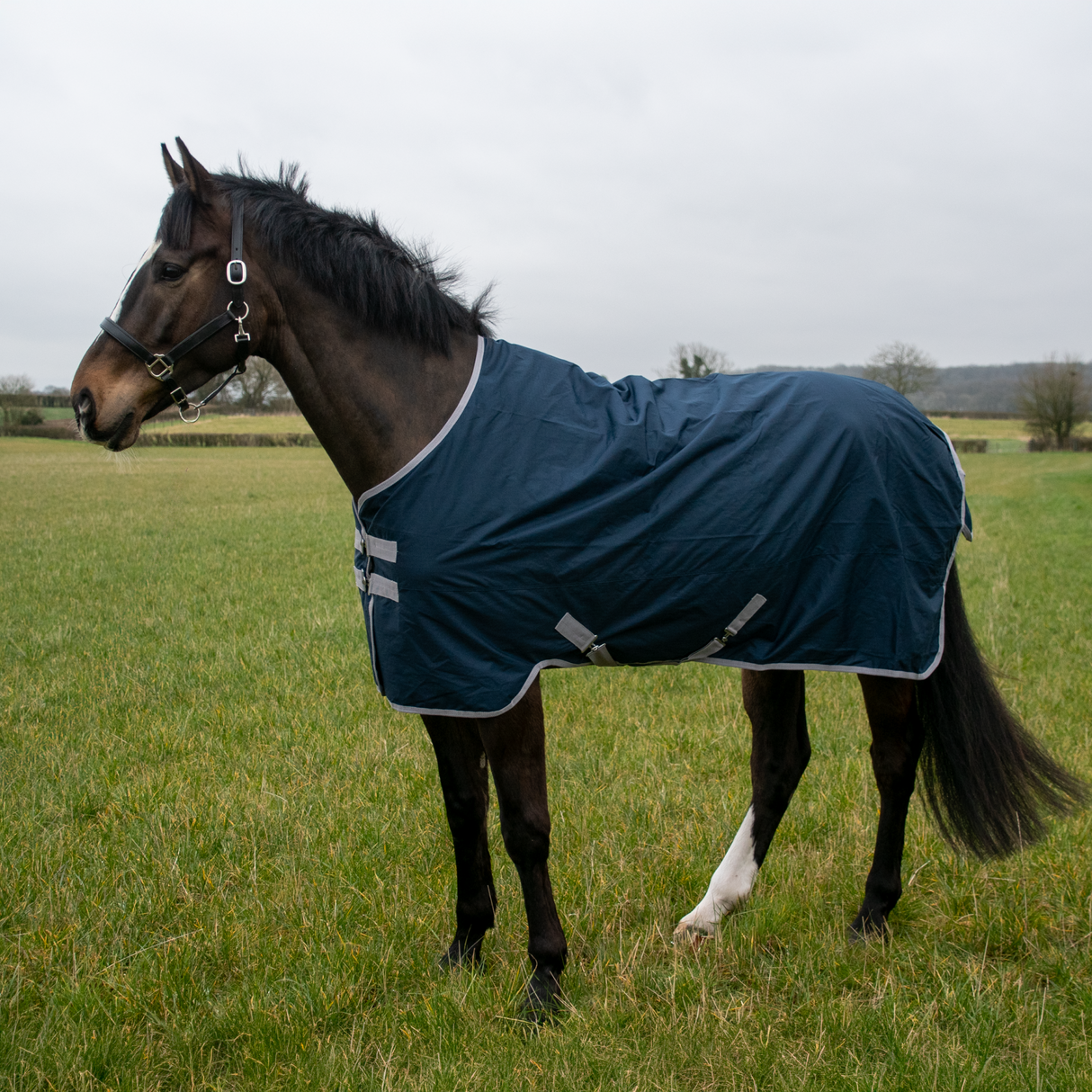 GS Equestrian 600D Waterproof Turnout Rug 0g