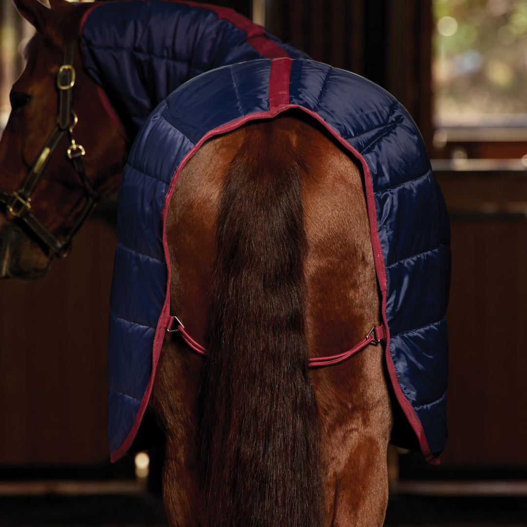 Weatherbeeta Comfitec 210D Channel Quilt 360G Combo Neck Stable #colour_navy-burgundy
