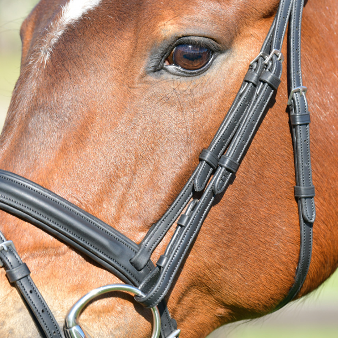 Collegiate Comfitec Opulux Plain Padded Hanoverian Flash Bridle #colour_black
