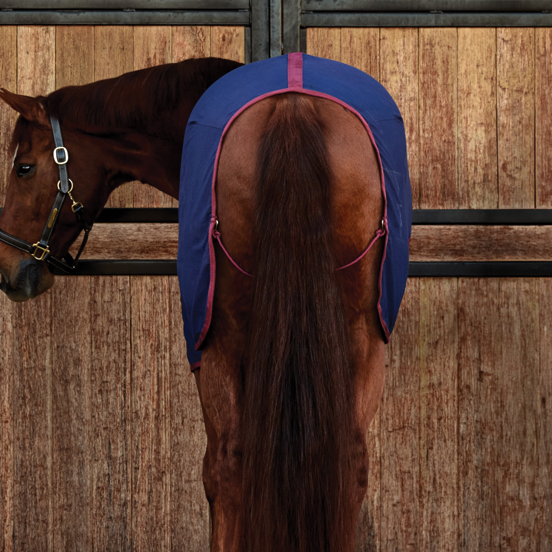 Weatherbeeta Cotton Sheet Standard Neck #colour_navy-burgundy