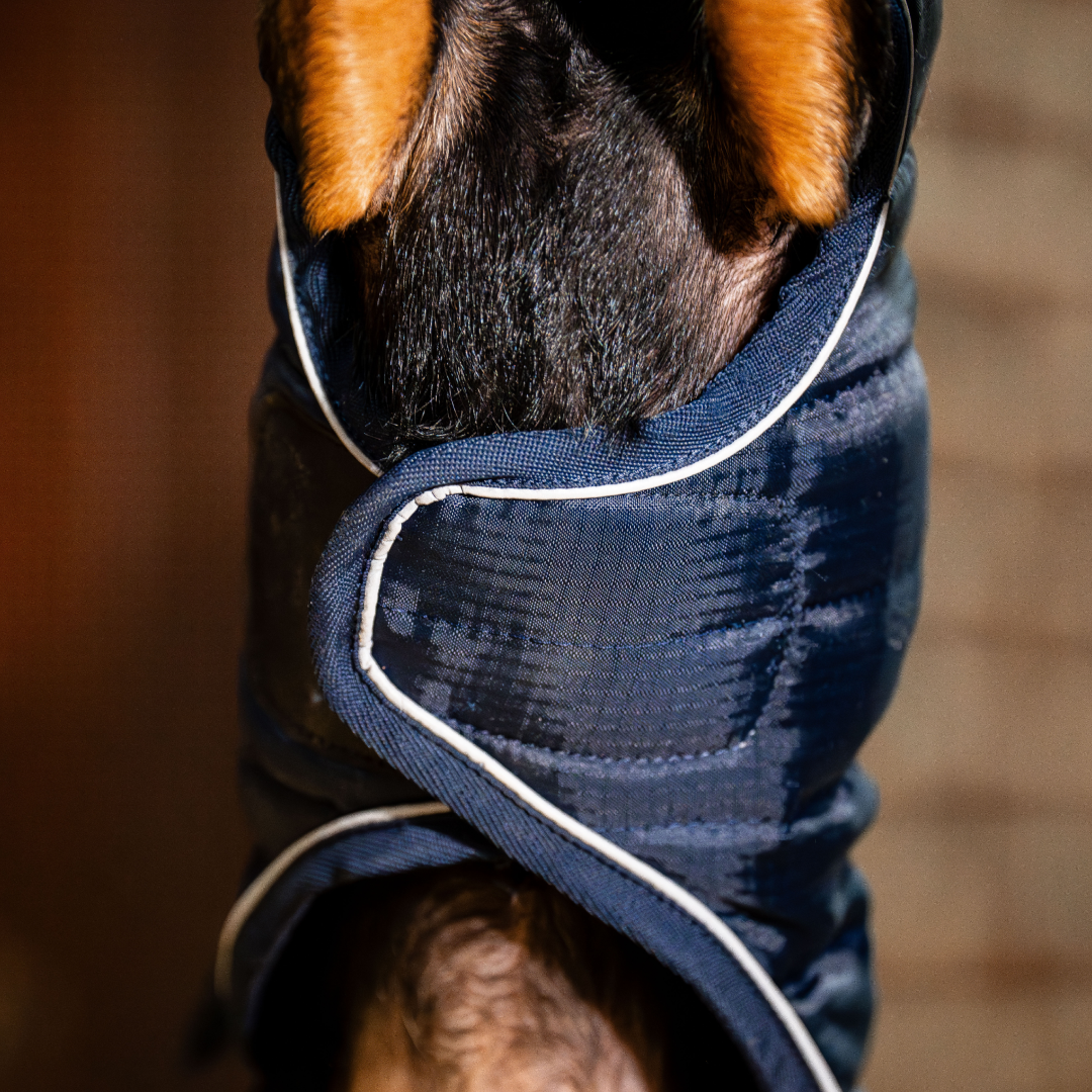 Horseware Ireland Signature Dog Rug