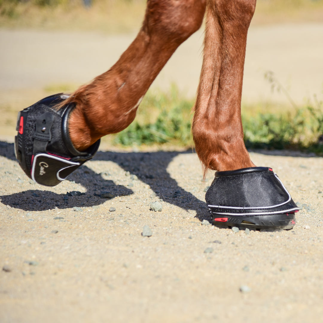 Cavallo Sport Boot Regular mit FOC Hufkratzer und -bürste
