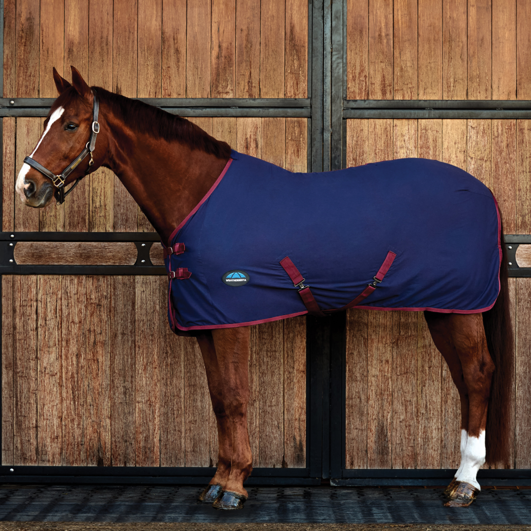 Weatherbeeta Cotton Sheet Standard Neck #colour_navy-burgundy