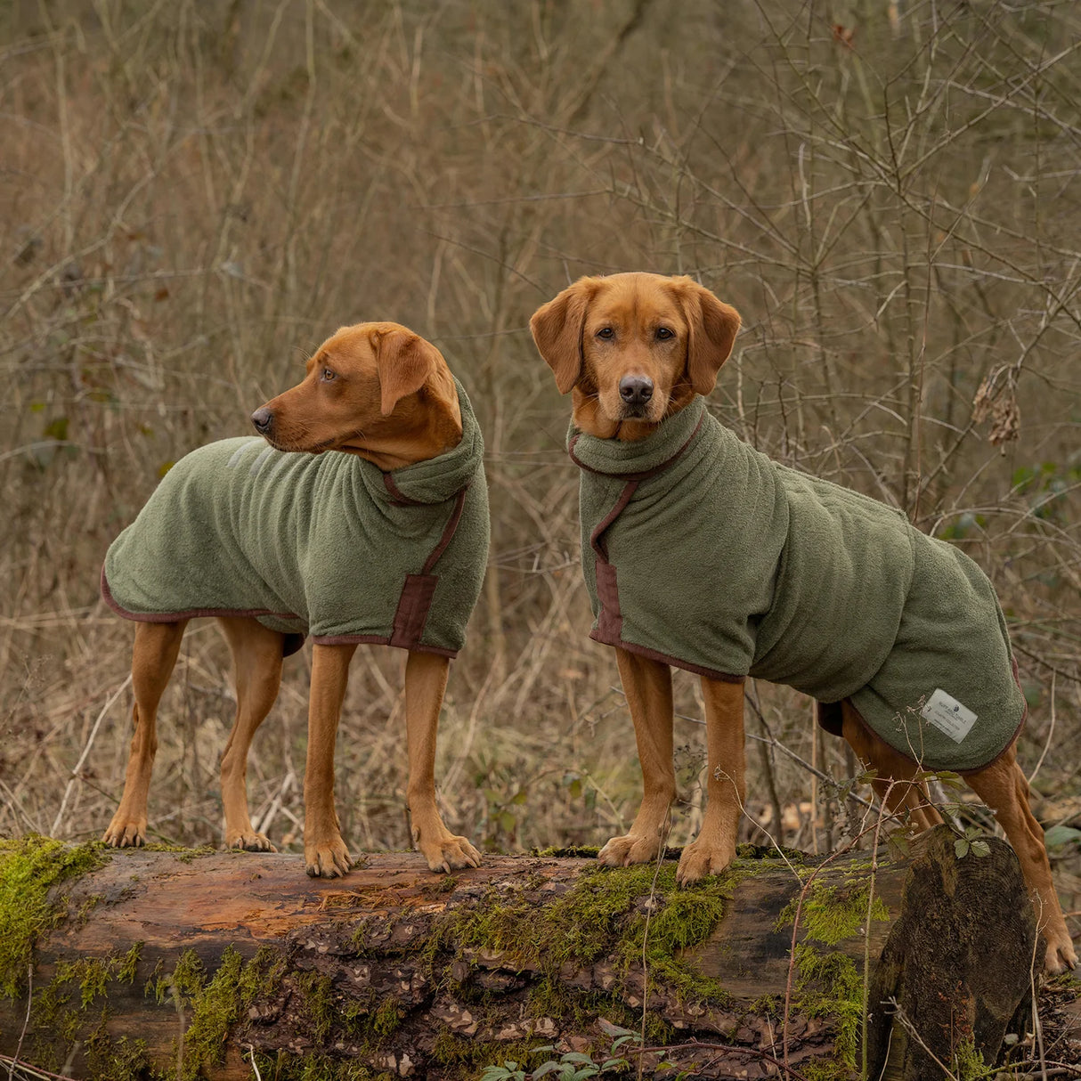 Ruff & Tumble Country Dog Drying Coat #colour_moss