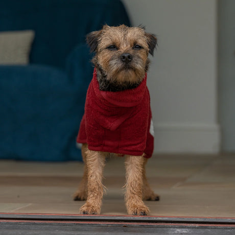 Ruff & Tumble Classic Dog Drying Coat #colour_rosehip