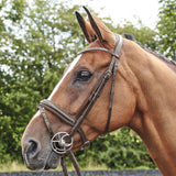 Whitaker Barton Bling Flash Bridle #colour_havana