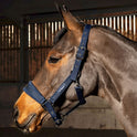 Whitaker San Francisco Headcollar