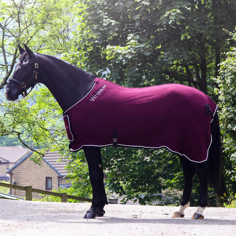 Whitaker Club Show Rug #colour_burgundy