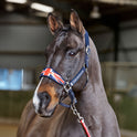 Whitaker Union Jack Padded Headcollar